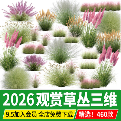 观赏草园林景观花境植物鼠尾草花丛组团psd免抠草丛配景ps素材