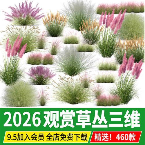 观赏草园林景观花境植物鼠尾草花丛组团psd免抠草丛配景ps素材