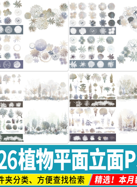 植物组团平面立面图块PSD灰调小清新彩平图笔刷顶视图树木PS素材