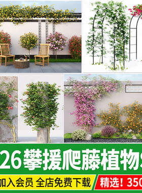 爬藤植物攀援藤蔓爬墙篱笆围栏藤本月季风车茉莉花架花拱门su模型