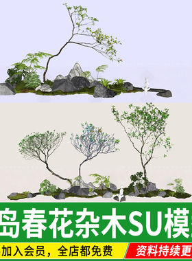 海岛春花园林中式日式庭院植物小杂木2d花园su模型素材斜飘树飘枝
