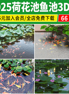 荷花池3D模型库 锦鲤荷花荷叶公园滨水景观鱼池庭院水池池塘3dmax