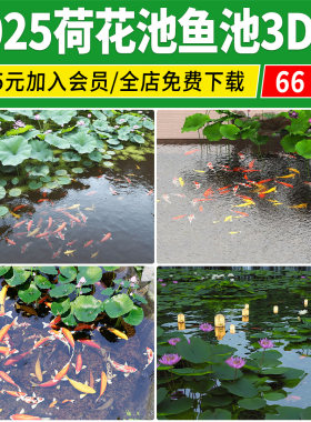 荷花池3D模型库 锦鲤荷花荷叶公园滨水景观鱼池庭院水池池塘3dmax
