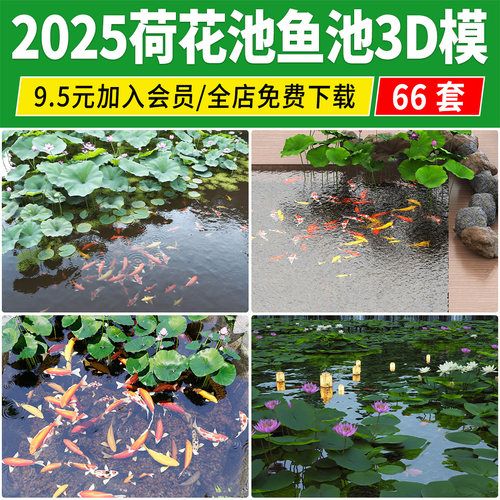 荷花池3D模型库 锦鲤荷花荷叶公园滨水景观鱼池庭院水池池塘3dmax