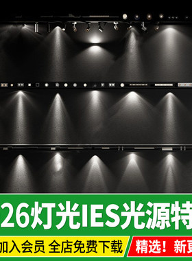 IES光源筒灯射灯轨道灯吊灯SU模型灯光效果格栅磁吸灯壁灯enscape