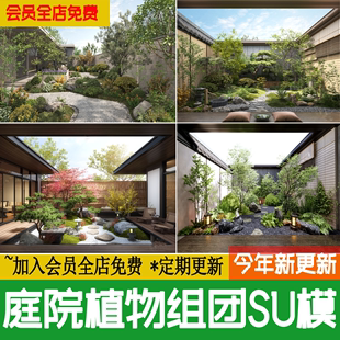 新中式 院子景观绿化SU模型 庭院植物配置组团搭配私家花园树木日式