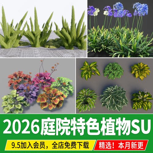 矾根狐尾天门冬佛甲草玉簪百子莲肾蕨迷迭香鼠尾薰衣草苔草SU模型