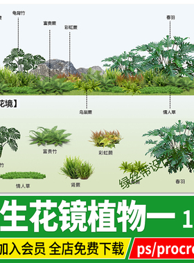 psd龟背竹富贵蕨彩虹蕨肾蕨鸟巢蕨春羽情人草玉簪png免扣图ps素材