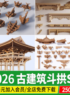 斗拱木结构中式古建筑构件组件卯榫工艺屋架构造木工做法图su模型