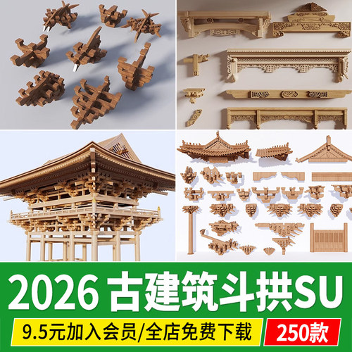 斗拱木结构中式古建筑构件组件卯榫工艺屋架构造木工做法图su模型