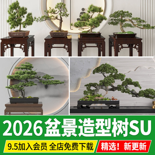 室内摆件盆栽端景禅意迎客松造型树黑松罗汉松崖柏松树盆景SU模型