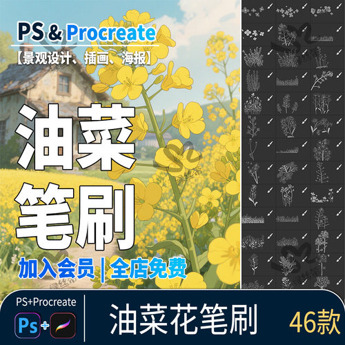 油菜花procreate笔刷手绘插画花卉花簇鲜花朵装饰花海花田ps笔刷