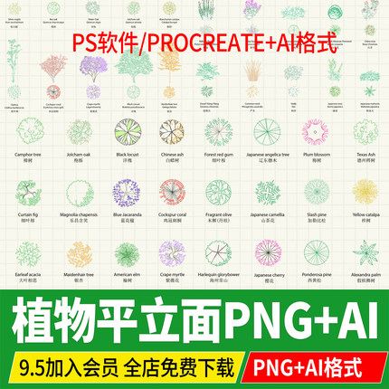 线稿风植物树木平面图立面图PNG PS procreate景观平面立面AI格式