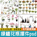 室内绿植花瓶工艺品装 饰摆件插花艺术干花植物花卉PSD免扣PS素材