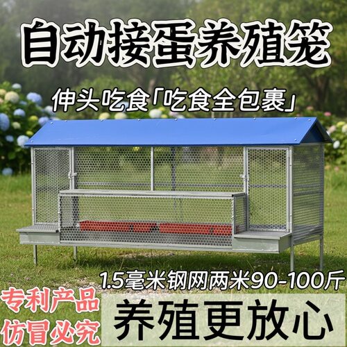 鸡笼家用室外新型防雨防黄鼠狼防鼠养殖鸡笼防啄鸡全防护下蛋鸡笼