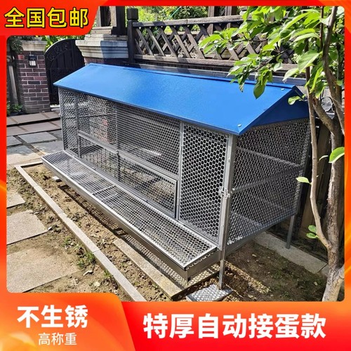 尖顶自动接蛋款室外防黄鼠狼饲养笼鸽子鸭兔不锈钢芦丁鸡密养殖笼