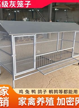 户外尖顶养殖兔笼鸽笼鸭笼防黄鼠狼家禽防鼠加密加厚圆孔鸡笼家用