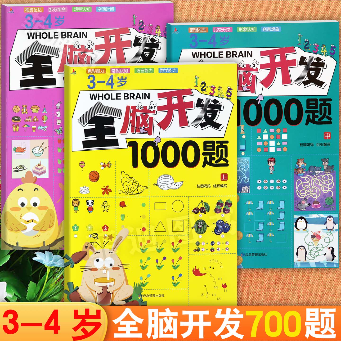 小红帆新蒙氏儿童全脑开发1000题3-4岁宝宝左右脑开发益智思维训练题幼小衔接举一反三幼儿潜能开发儿童黄金周思维拓展训练题