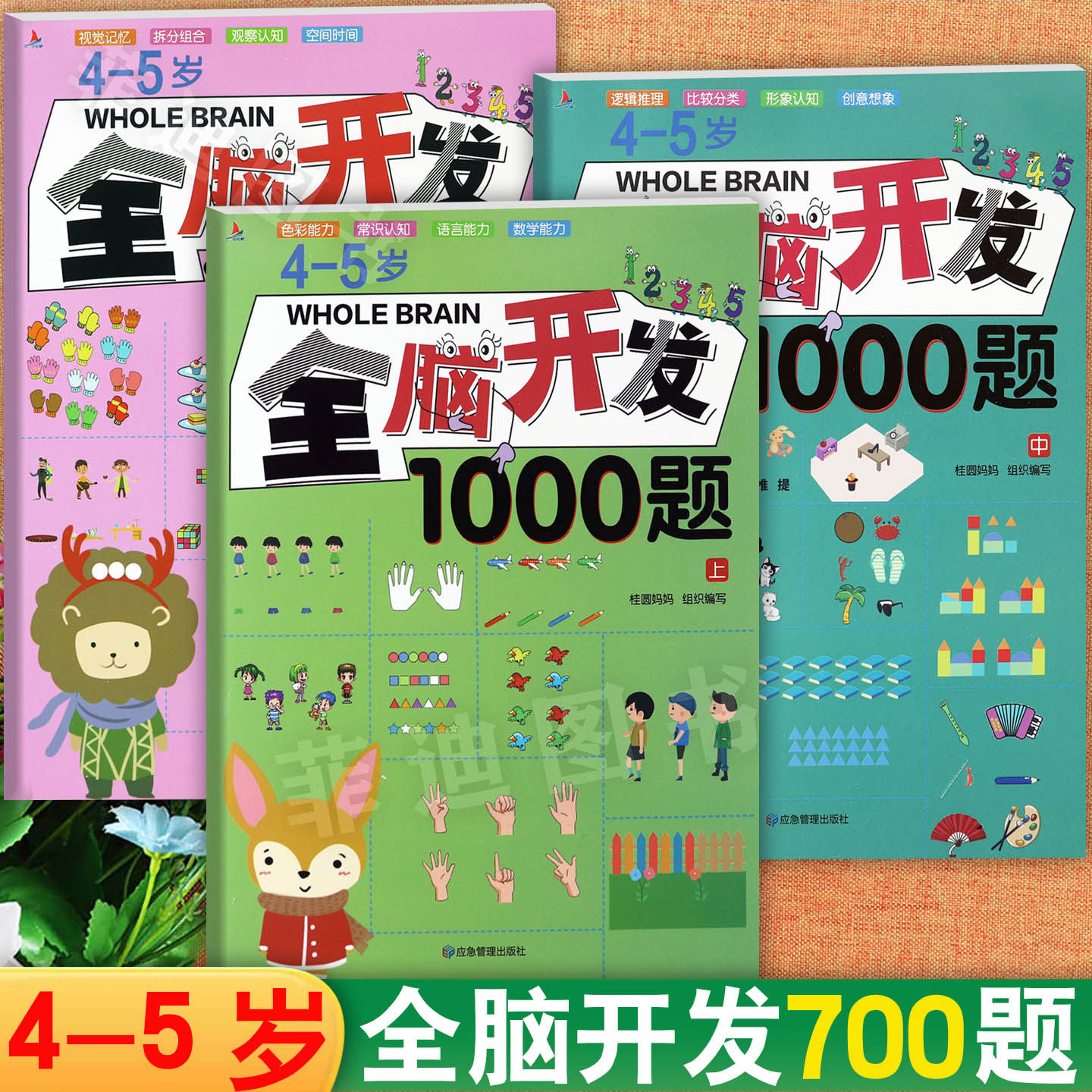 4-5岁全脑开发1000题宝宝左右脑开发益智思维训练题幼小衔接举一反三新蒙氏儿童潜能开发黄金周思维拓展练习题一日一练
