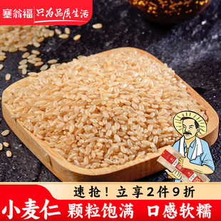 塞翁福小麦仁400g真空包装 杂粮粥粗粮去皮食用小麦仁五谷米仁