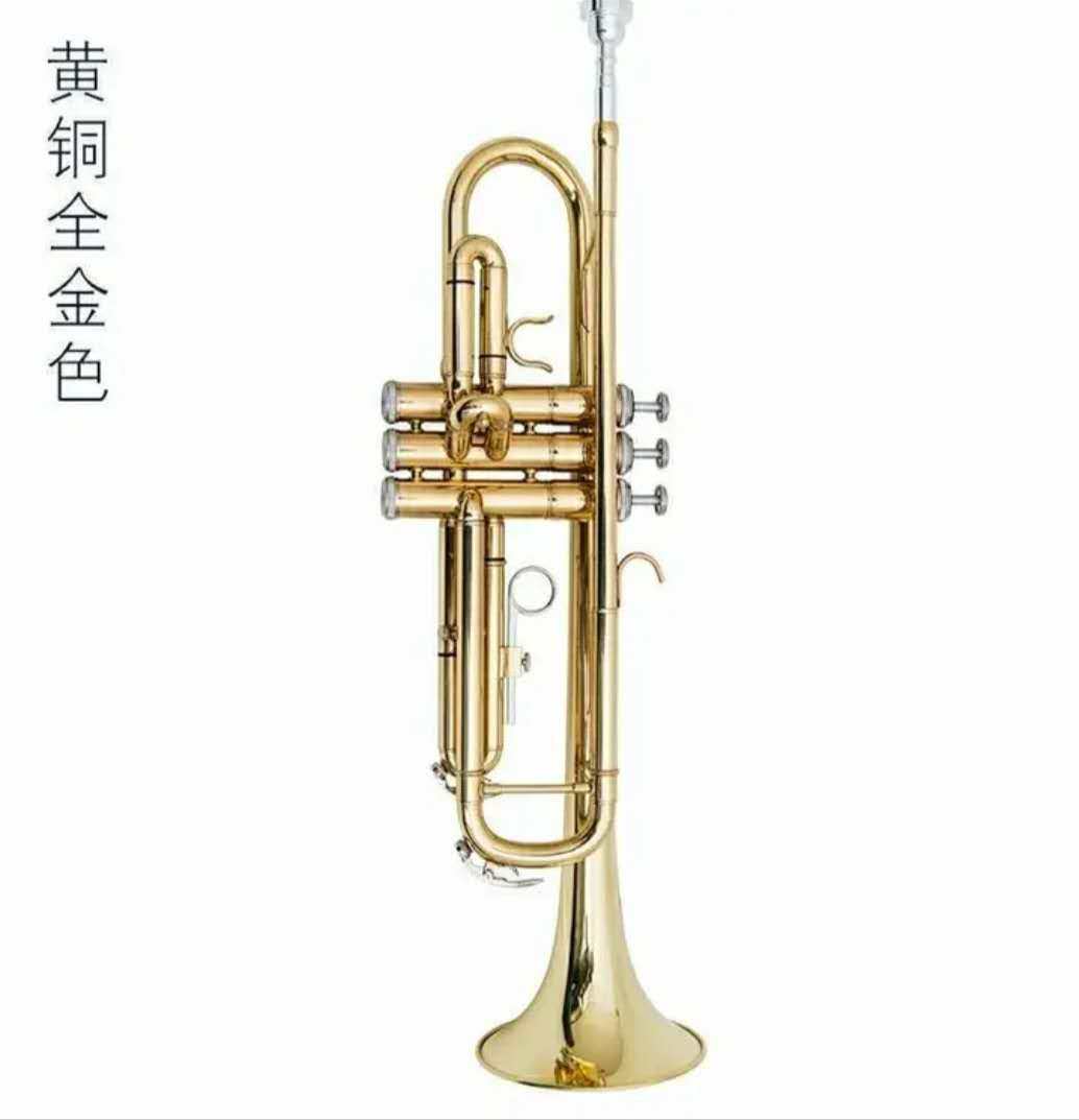 原装艾博斯特降b调小号乐器黄铜磷铜初学成人老人儿童考级演奏