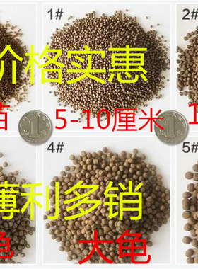 嘉盛优质A龟粮饲料乌龟龟粮巴西草龟石龟鳄龟大中小颗粒幼龟包邮