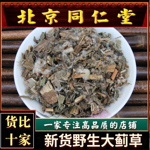 野生中药材大蓟草大刺儿菜