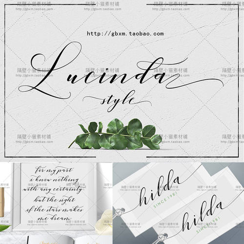 PS复古飘逸手写英文字体 LOGO制作海报平面设计字体素材 [FT220]