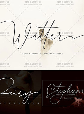 PS复古飘逸手写英文字体 LOGO水印婚礼海报字体设计素材 [FT230]
