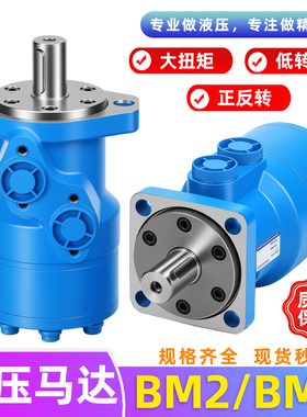 液压马达低速大扭矩BM2/BMR125/63/80/100/250/315/400/36 油马达