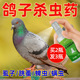 鸽子专用药鹦鹉鸟用体外驱虫药信鸽赛鸽掉毛除羽毛虱螨虫杀虫喷剂