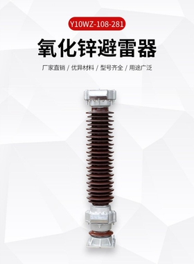 110KV避雷器 瓷外套金属氧化物避雷器 座式避雷器Y10W5-100/260W