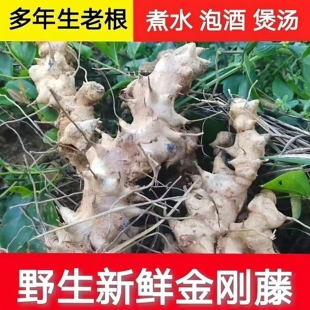 新鲜现挖野生菝葜金刚头金刚藤根铁菱角马甲头马加勒山归来中药材