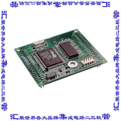 20-101-0404 集成电路芯片IC MOD RABBIT 2000 25.8MHZ 512KB