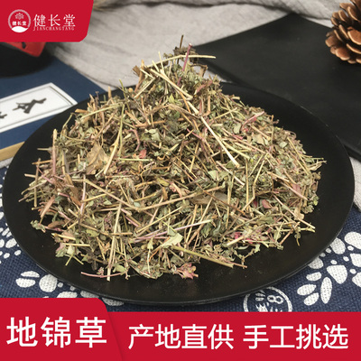 地锦草血见愁中药材