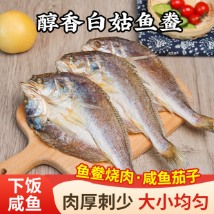 东海特产白姑鱼干咸鱼干货整条咸鱼鲞茄子煲海鱼海鲜干货白梅鱼干