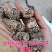 包邮 贵州雪里见干品中草药材独角莲野包谷半截烂烂半 截250g
