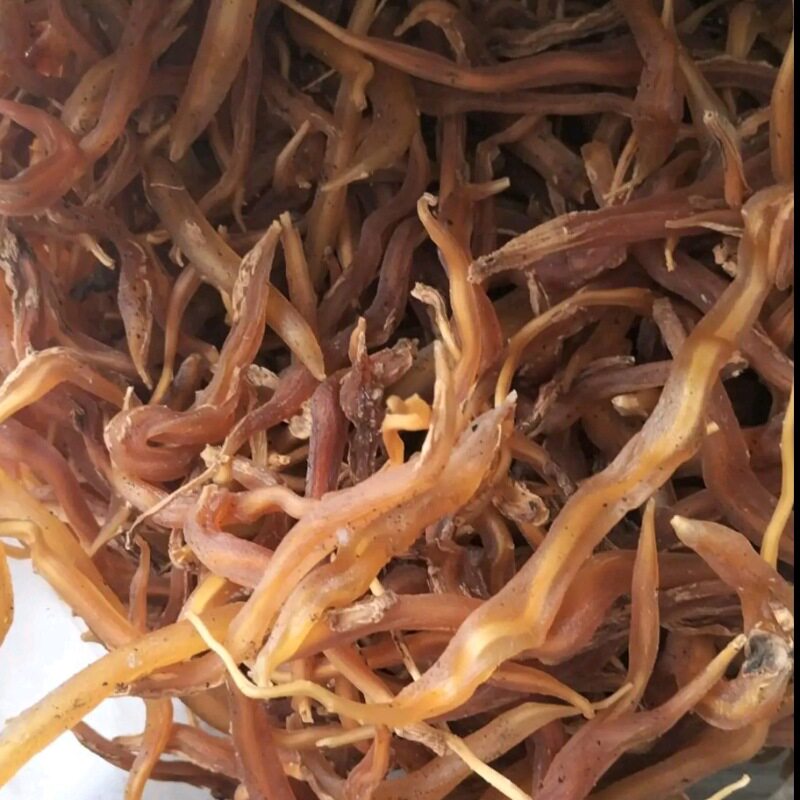新鲜天门冬贵州省中药材晒干天冬去皮 三百棒明天冬下单包邮