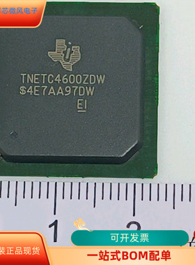 TNETC4600ZDW全新原装 原厂渠道 咨询下单 保证质量