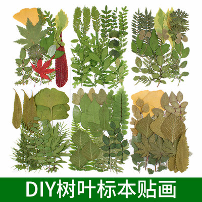 DIY绿叶儿童手工材料包组合包