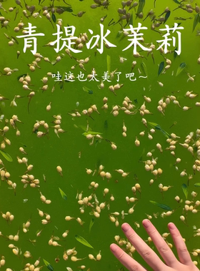 茉莉青提冻假水 太好闻了 阳光葡萄的味道 清爽果冻白露解压玩具