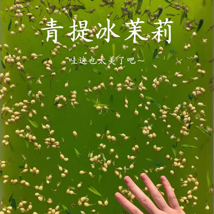 茉莉青提冻假水 太好闻了 阳光葡萄的味道 清爽果冻白露解压玩具