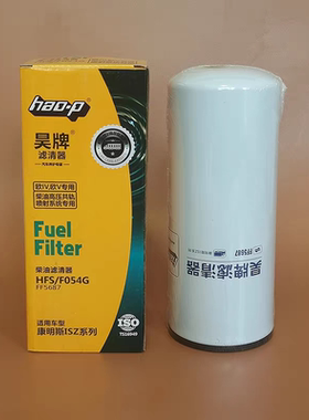 FF5687柴油滤芯适配康明斯C4960198东风天龙KL旗舰C4365703滤清器