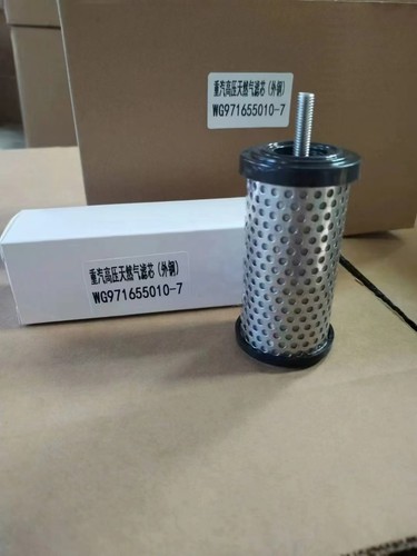 适配重汽豪沃豪瀚CNG燃气高压滤清器德龙大运解放欧曼天然气滤芯