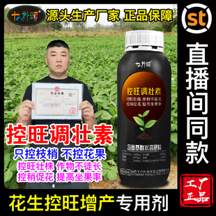 控旺调壮素十八补头花生控旺促壮生长调节缩节十八扑头控梢徒长