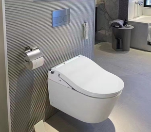 CES802CS TOTO智能壁挂入墙式 暗装 家用马桶坐便器CW542EB CES795