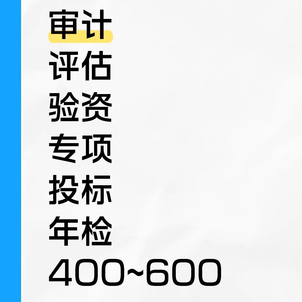 招投标年度财务审计验资资产评估房产评估清算专项离任注销咨报告