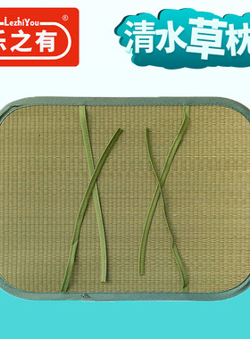 乐之有清水草凉爽枕席枕套枕头套
