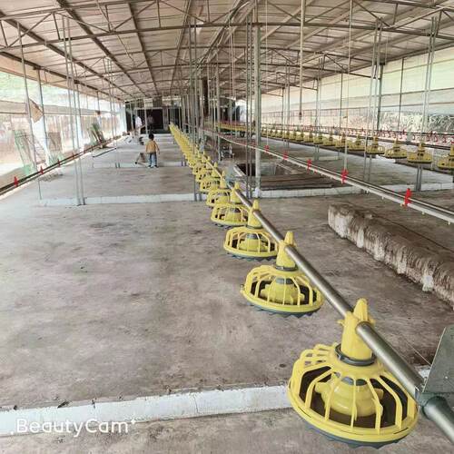 养鸡场鸡舍全套养鸡设备用品喂鸡神器自动水线料线养殖喂养