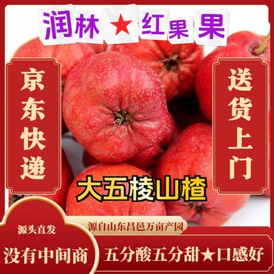 糖葫芦专用大五棱批发